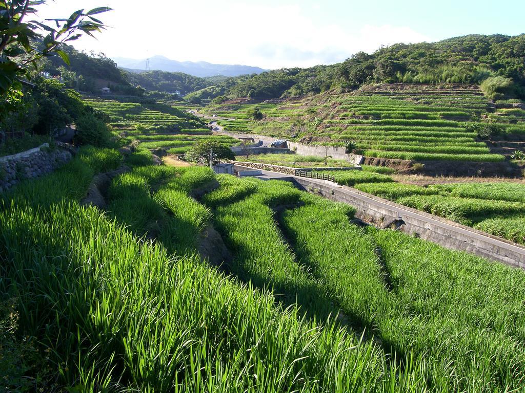 一亩田民宿 三芝乡 外观 照片