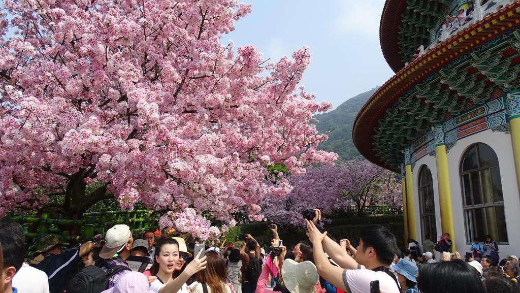 一亩田民宿 三芝乡 外观 照片