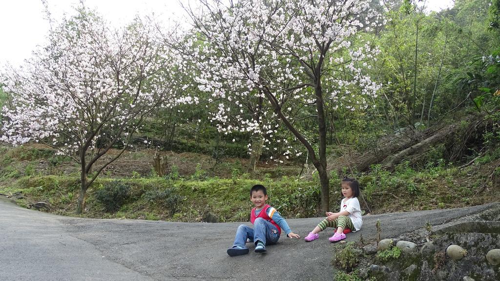 一亩田民宿 三芝乡 外观 照片