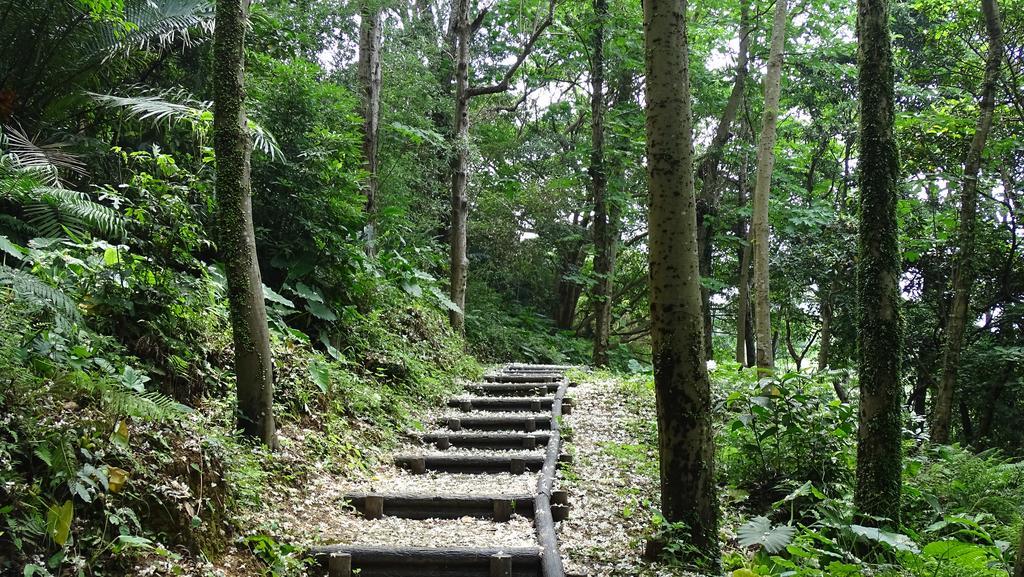 一亩田民宿 三芝乡 外观 照片