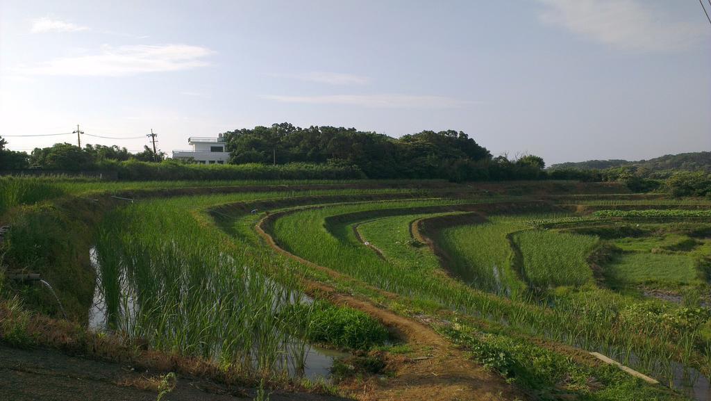 一亩田民宿 三芝乡 外观 照片